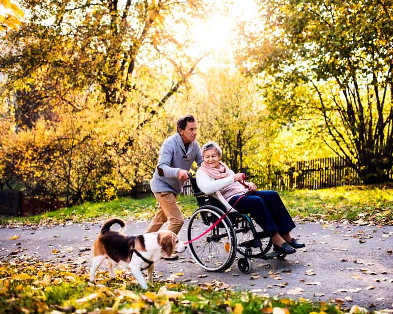 woman-in-wheelchair-and-dog-in-autumn